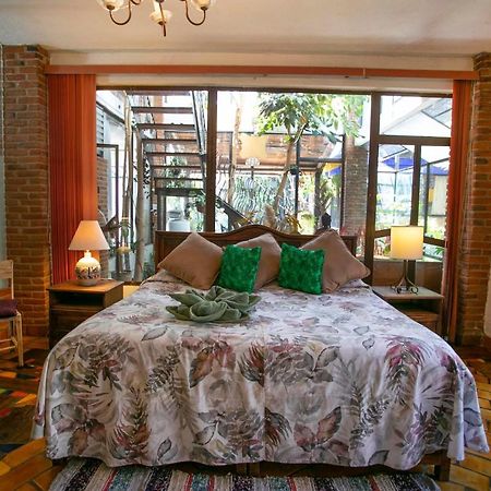 Majikal B&B - Santa Clara 촐룰라 외부 사진